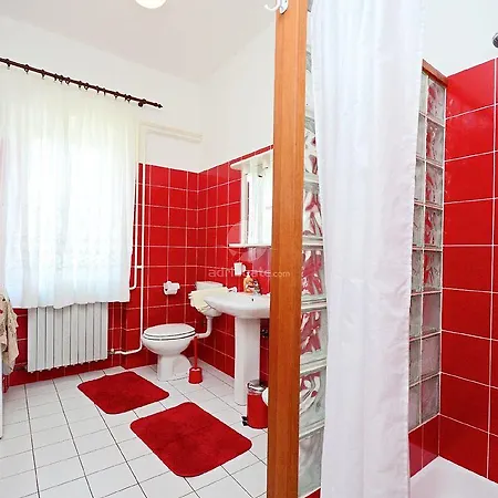 Adelmo 1189 * بريمونتيرا