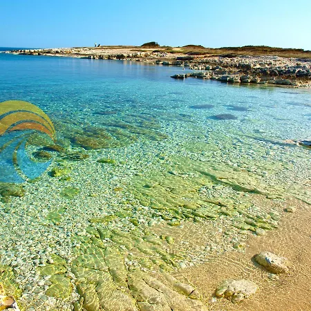 Adelmo 1189 アパート プレマントゥーラ